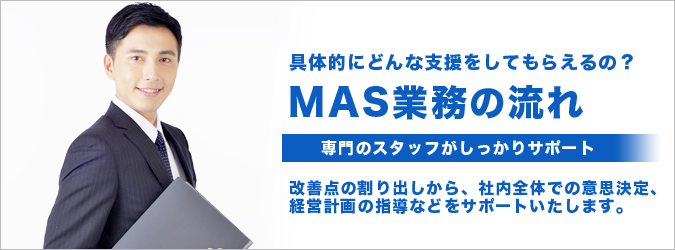 経営コンサルティング（MAS）業務の流れ