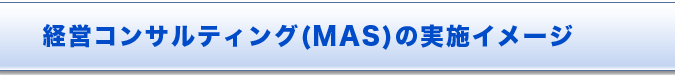 経営コンサルティング(MAS)実施イメージ 経営コンサルティング(MAS)実施イメージ